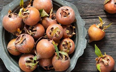 Bu meyvə xərçəng hüceyrələrinin böyüməsinin