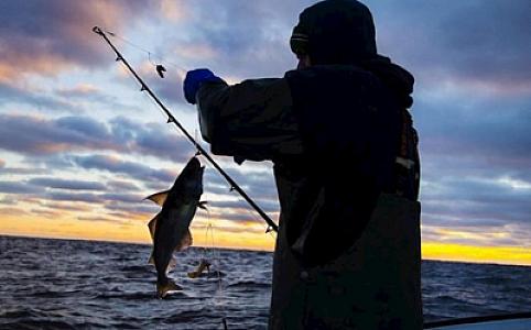 Nazirlik balıq ovu ilə bağlı əhaliyə çağırış edib