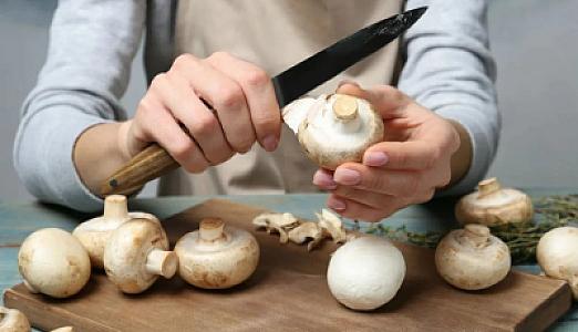 Göbələkləri belə saxlayın -