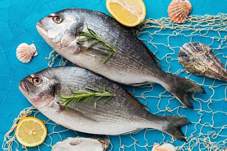 Ən qidalı balıq hansıdır? -