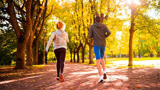 "Bir addım irəli, iki addım geri" yeriməyin