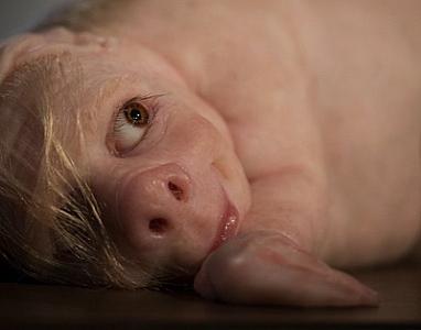 Amerikalı alimlər donuz və insanın hibridini yaratmağı planlaşdırırlar