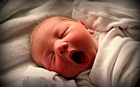 Daha bir bölgəmizdə bu il doğulan körpələrin sayı azalıb