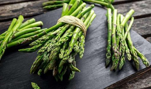 Qulançar bu xəstəliklərin