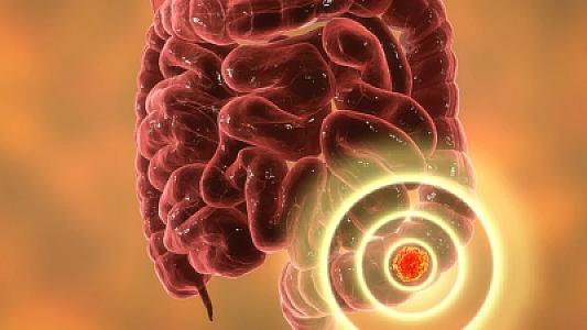 Məkrli xəstəlik yayılır: