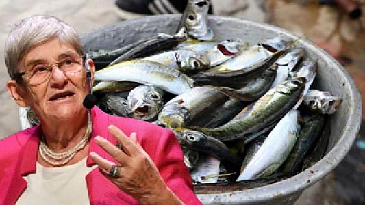 Balığın köhnə olduğunu necə bilməli? -