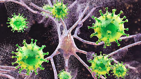 Alimlər COVID-19 zamanı beyin zədələnməsinin