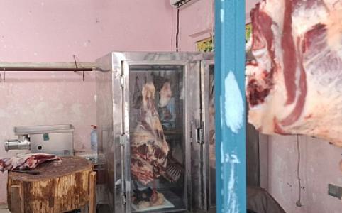 22 heyvan kəsimi və ət satışı məntəqəsində