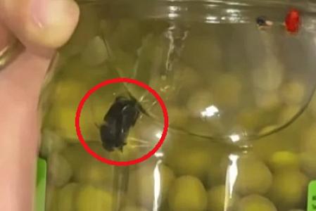 Bakıda məşhur firmaya məxsus yaşıl noxudun içərisindən