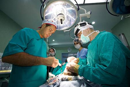 İsrail həkimləri başı bədənindən qopan uşağın başını yerinə tikdilər - FOTO