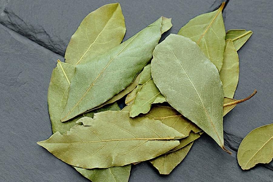 Evin künclərinə dəfnə yarpağı qoyun –