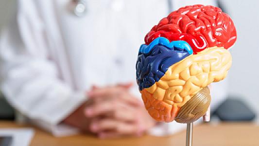 Ölüm anında beyində nə baş verir? -