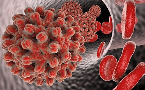 Bu ilin iyuluna qədər Azərbaycanda 934 nəfərdə hepatit C virusu aşkarlanıb