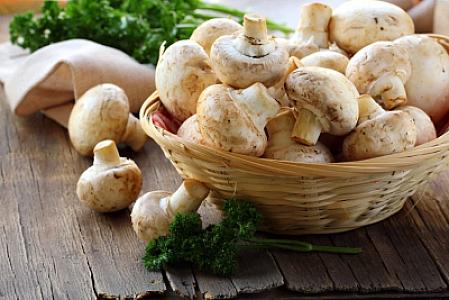 Göbələklərdən kimlər imtina etməlidirlər? -