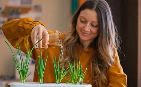 Xəbərdarlıq: Evdə saxlanılan bu çiçəklər əslində