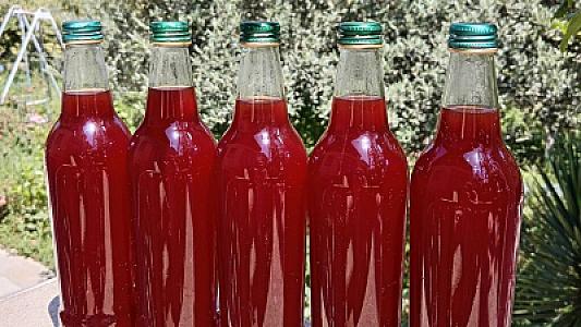 Şam qozası bəhməzinin