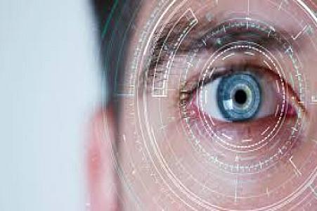 Görmə qabiliyyətini yaxşılaşdıran meyvə -