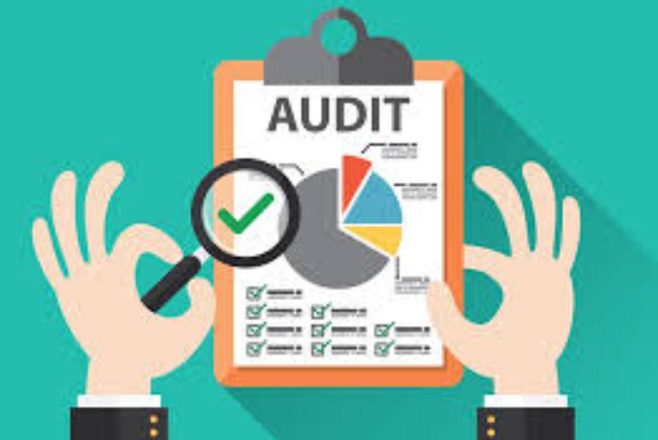 Tibb şirkəti məcburi auditdən yayınmağa görə