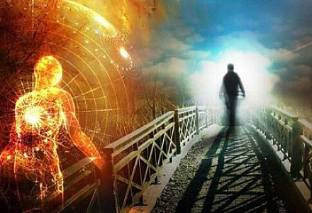 Alimlər ölmüş orqanizm hüceyrələrinin