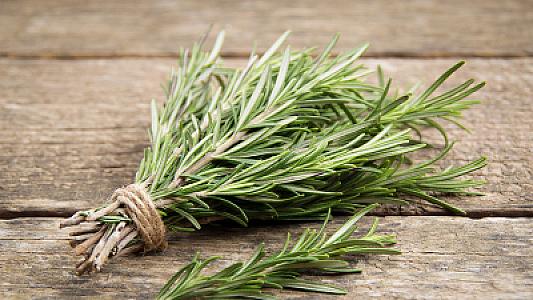 Son zamanlar məşhurlaşan