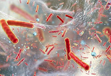 Dərimizdəki mikrobların sağlamlığımızda hansı rolu var? -