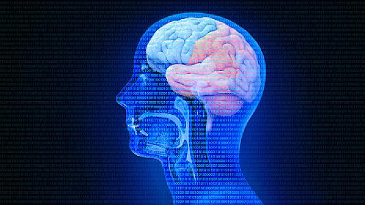 Alimlər dərmanların beyinə çatdırılması üçün