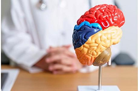 Alimlər yuxuda olan iki insan arasında