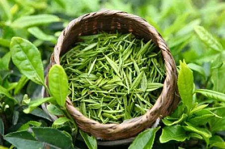 Bu çay ən çox yayılan xəstəliklərə qarşı