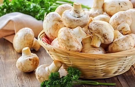 Yeməli göbələkləri necə ayırd edək? -