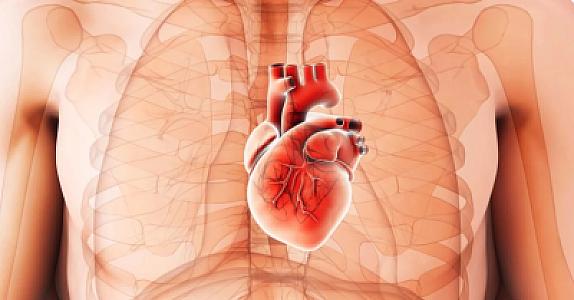 Bunlara əməl etsəniz,