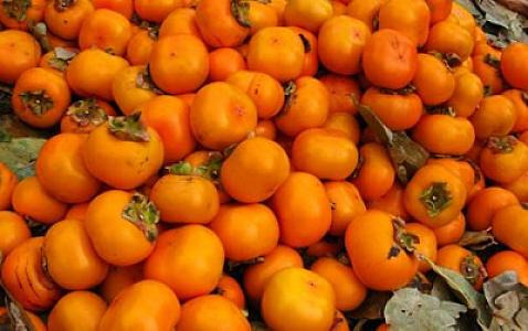 Arıqlamağınıza kömək edən mövsüm meyvəsi