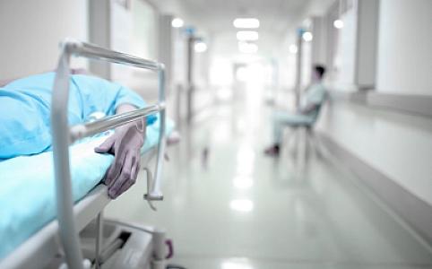 Çində az tanınan göbələk virusu ilk dəfə