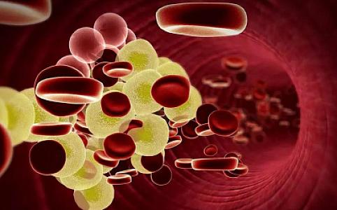 COVID-19 qanda yağların səviyyəsini