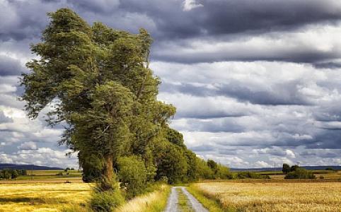Küləkli hava şəraiti ilə bağlı sarı və narıncı