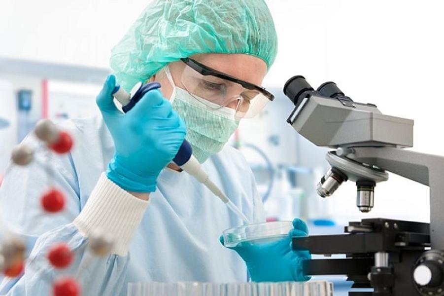 Azərbaycanda virus yayılıb -