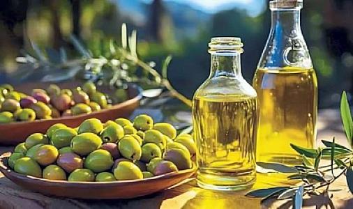 Ən keyfiyyətli zeytun yağı