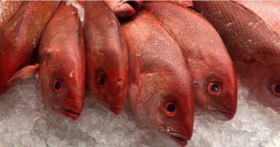 Noyabrda bu balıqları ALMAYIN! -