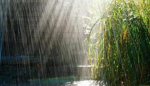 Leysan yağacaq, dolu düşəcək -