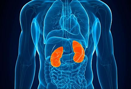 Kimyəvi maddələrə uzunmüddətli məruz qalma