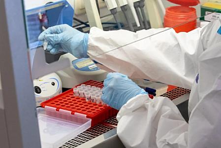 Rekord böyüklükdə unikal