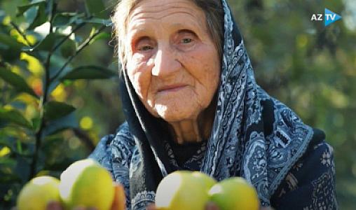 “Mənə “metirka” almadılar ki, öləcəm…” –