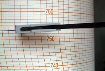 Alimlər bəşər tarixində