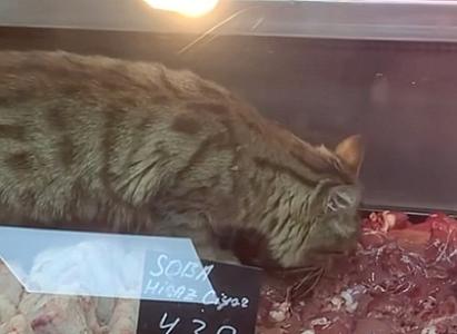 Bakıda iyrənc mənzərə: