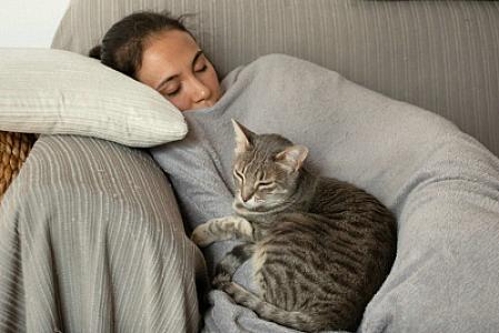 Gündüz yuxusu olduqca FAYDALI İMİŞ -