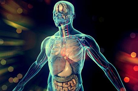 Bu əlamətlər varsa,