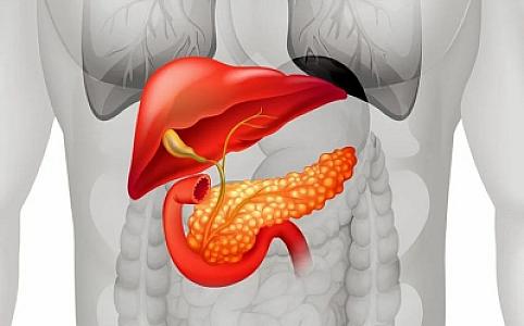 Alimlər mədəaltı vəzi xərçəngi xəstəliyi olanların