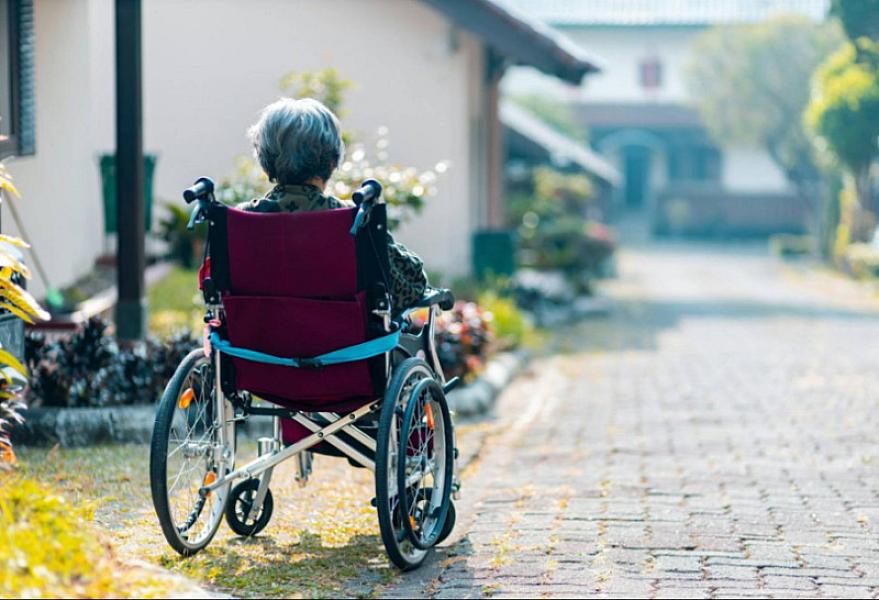 Tədqiqat: Qarın piyləri Alzheimer xəstəliyini