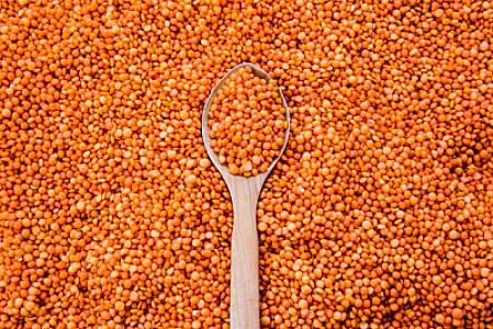 Şəkər xəstələrinin qidası sayılan qırmızı mərcinin