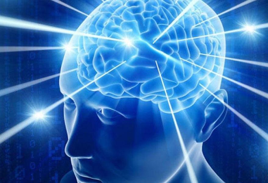 Mikroblar böyük beyinlərin təkamülündə açar rol oynaya bilər -