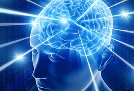 Mikroblar böyük beyinlərin təkamülündə açar rol oynaya bilər -